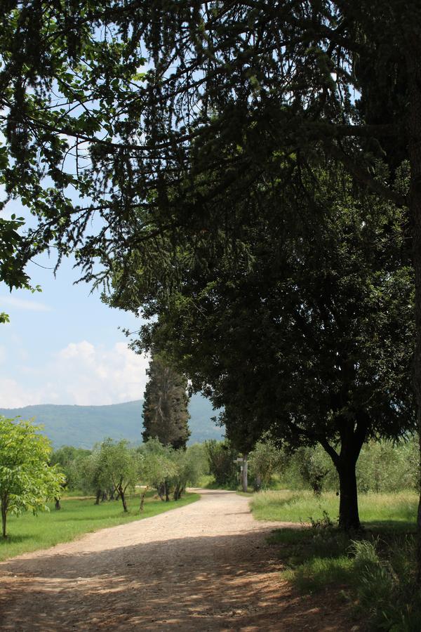 La Cascianella Villa Florence Luaran gambar